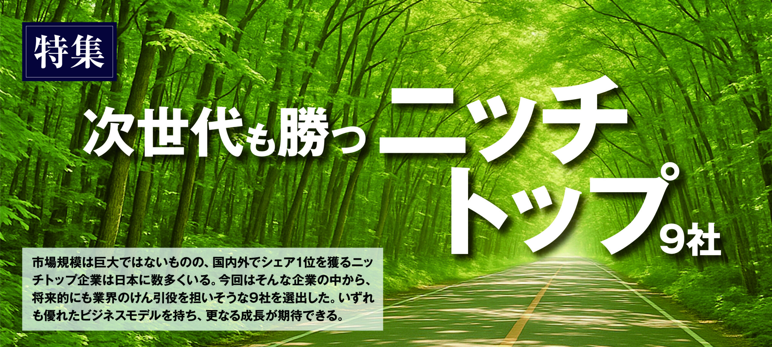 次世代も勝つニッチトップ9社