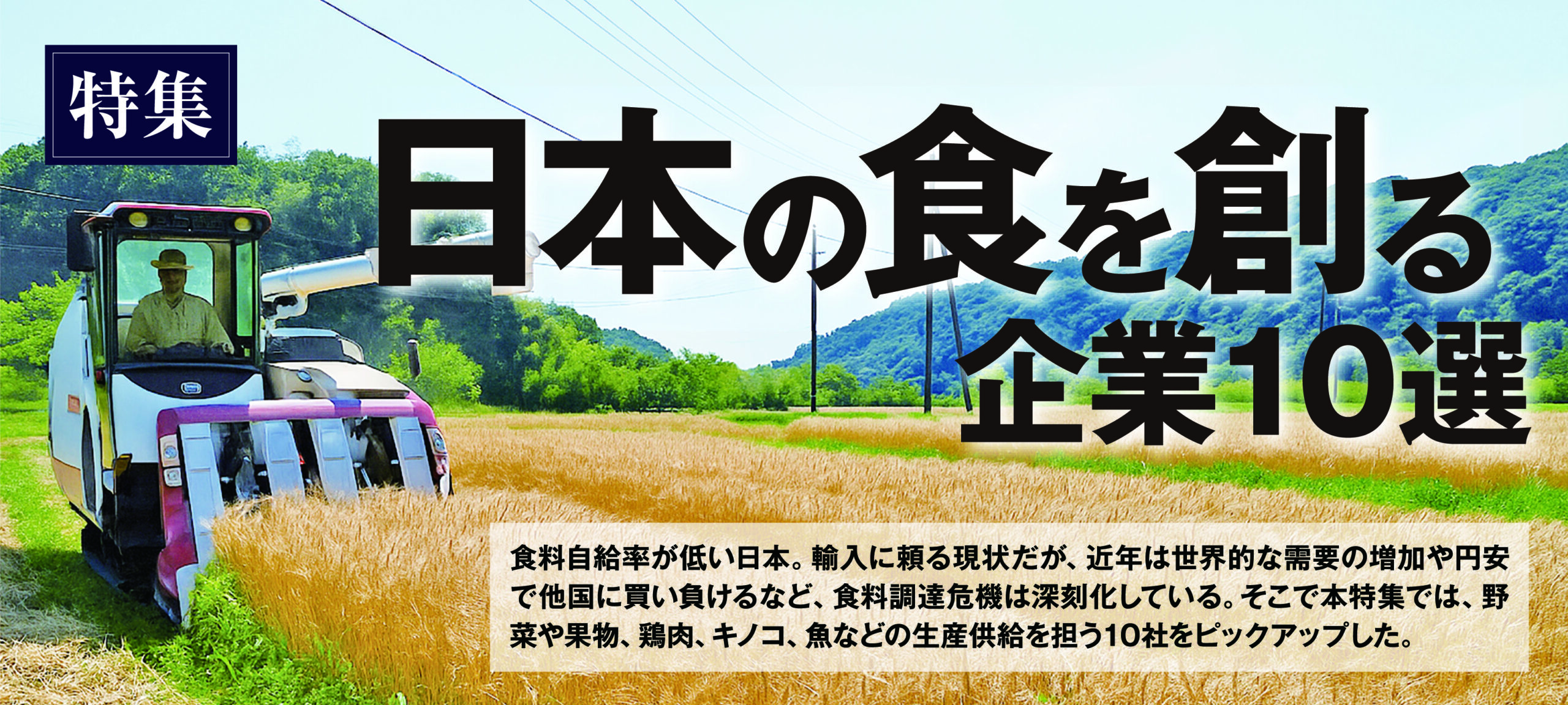 日本の食を創る企業10選